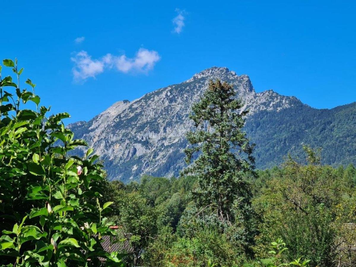 Ferienwohnungen Sommer Bayerisch Gmain Exteriör bild